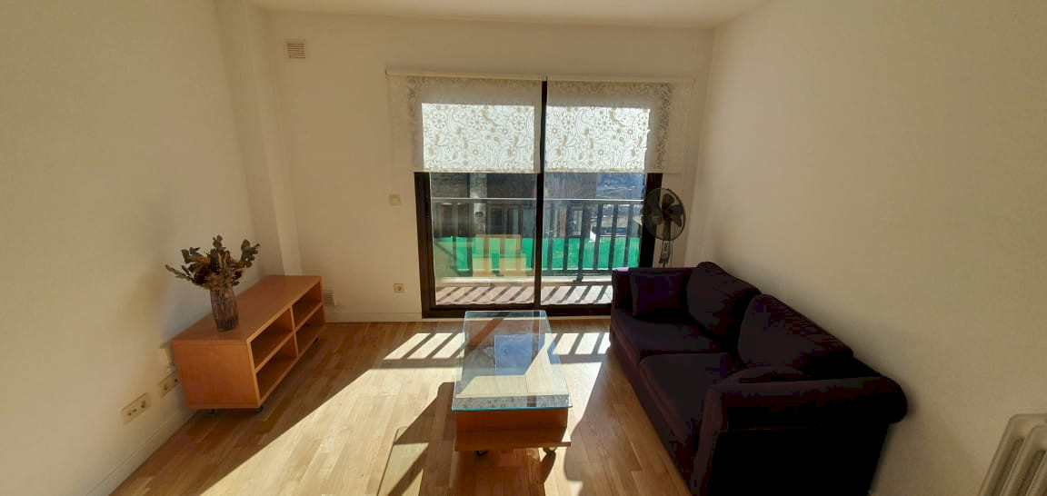 1-bedroom flat for rent in Vila, Encamp · 35 of 60