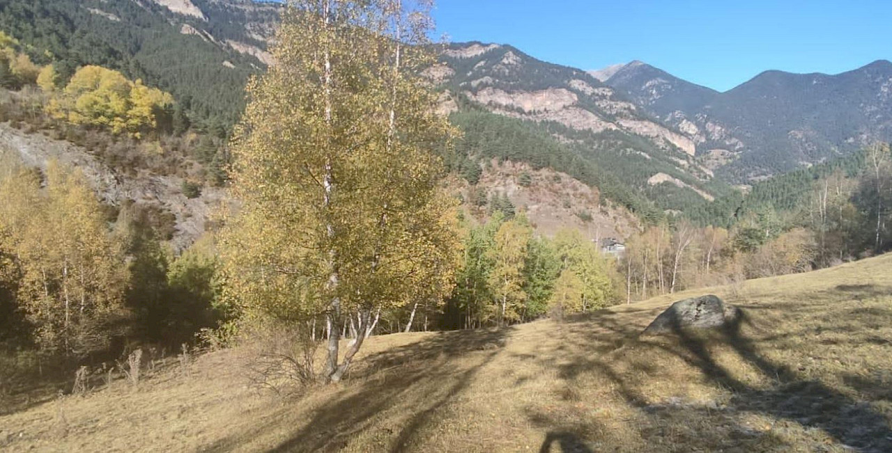 Farmhouse for sale in Pal, La Massana · 30 of 32